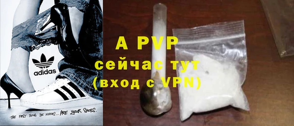гидра Богородицк