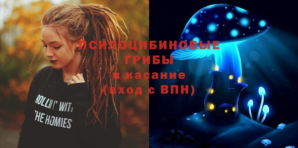 гидра Богородицк