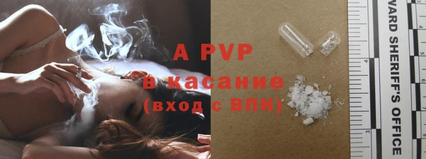 стафф Богородск