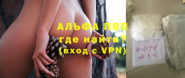 стафф Богородск