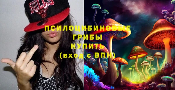 стафф Богородск