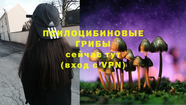 гидра Богородицк
