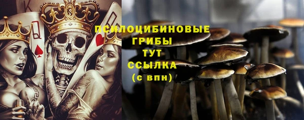 стафф Богородск