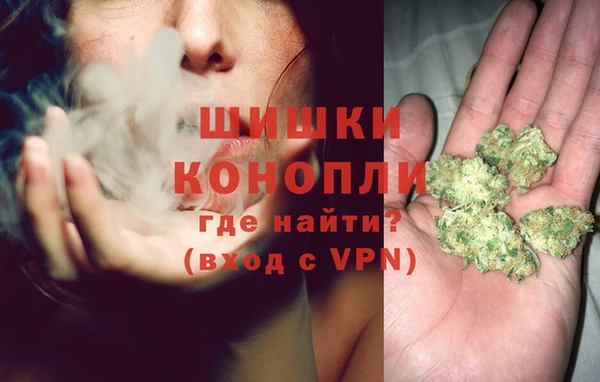гидра Богородицк