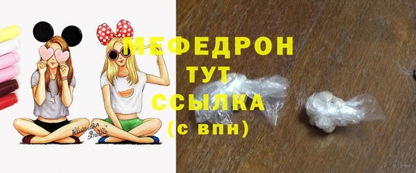 гидра Богородицк