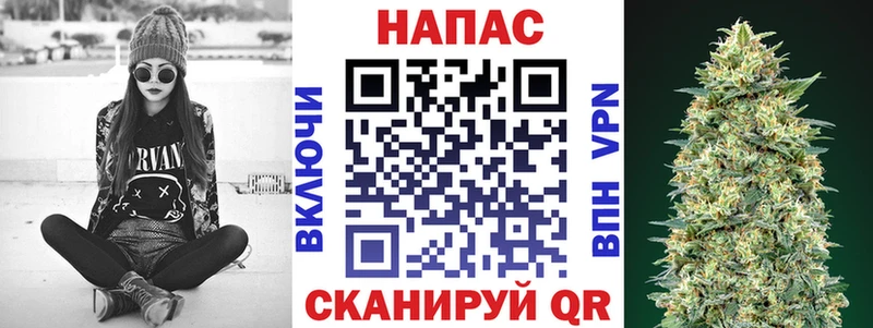 Бошки марихуана Bruce Banner  закладка  Томмот 
